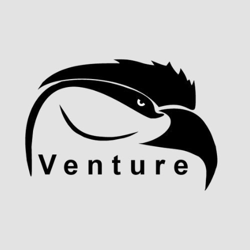 Venture Esports